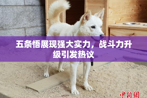 五条悟展现强大实力，战斗力升级引发热议