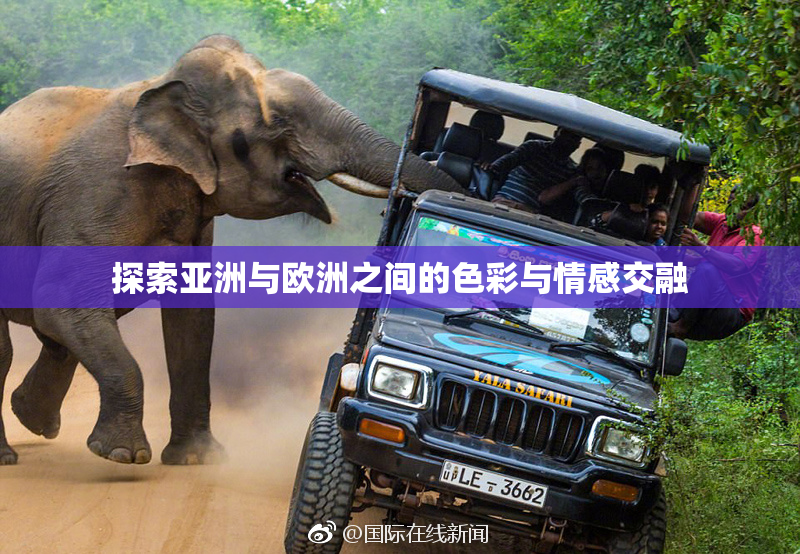 探索亚洲与欧洲之间的色彩与情感交融