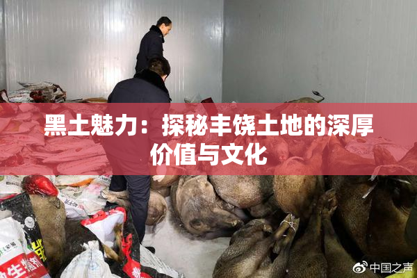 黑土魅力：探秘丰饶土地的深厚价值与文化