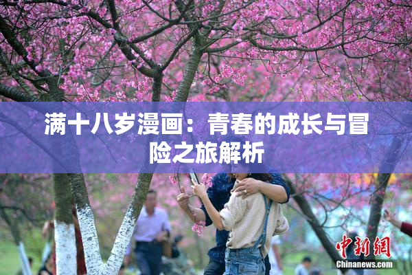 满十八岁漫画：青春的成长与冒险之旅解析