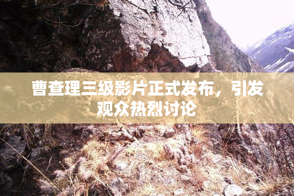 曹查理三级影片正式发布，引发观众热烈讨论