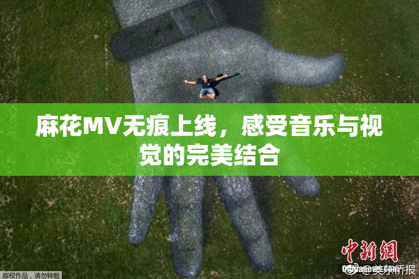 麻花MV无痕上线，感受音乐与视觉的完美结合