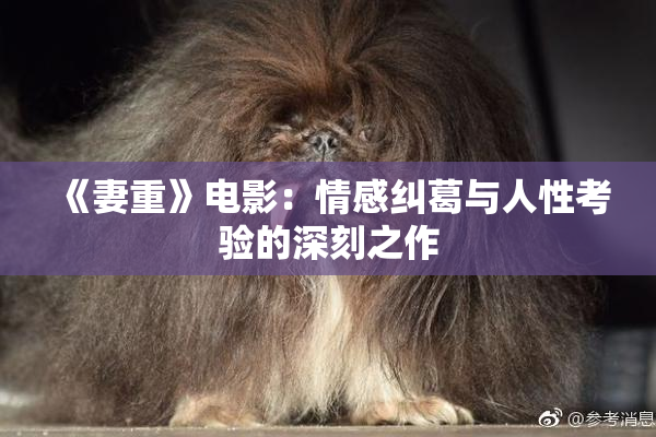 《妻重》电影：情感纠葛与人性考验的深刻之作
