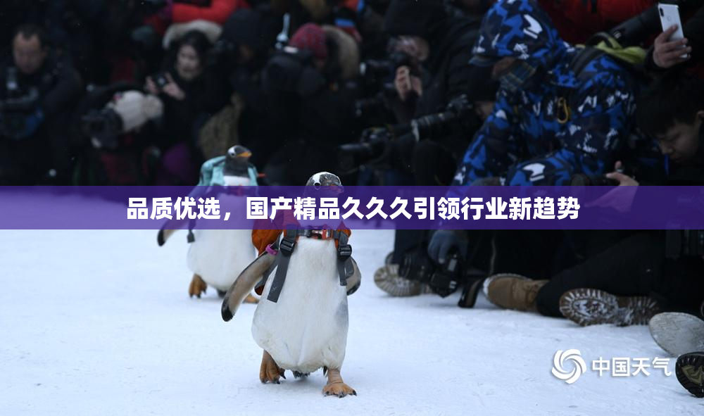 品质优选，国产精品久久久引领行业新趋势