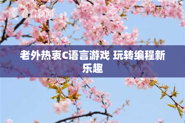 老外热衷C语言游戏 玩转编程新乐趣