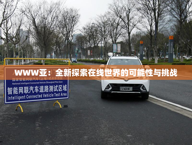 WWW亚：全新探索在线世界的可能性与挑战