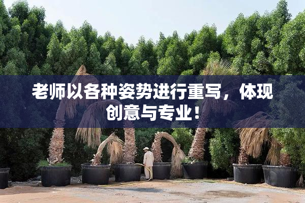 老师以各种姿势进行重写，体现创意与专业！