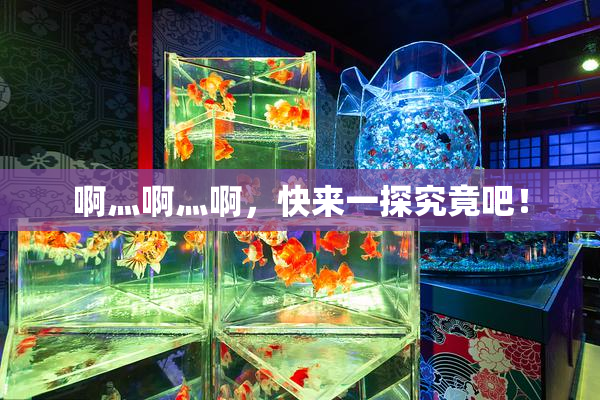 啊灬啊灬啊，快来一探究竟吧！