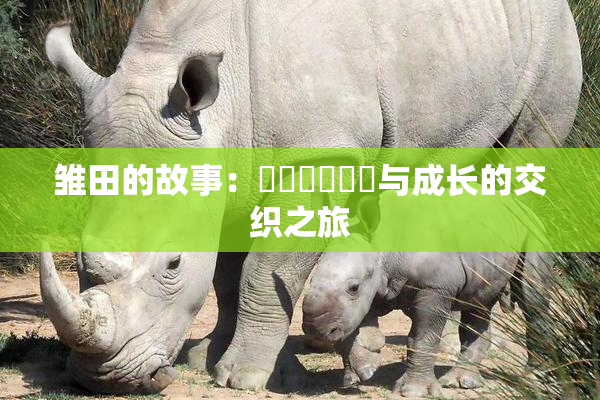 雏田的故事：❌‌❌‌❌‌与成长的交织之旅