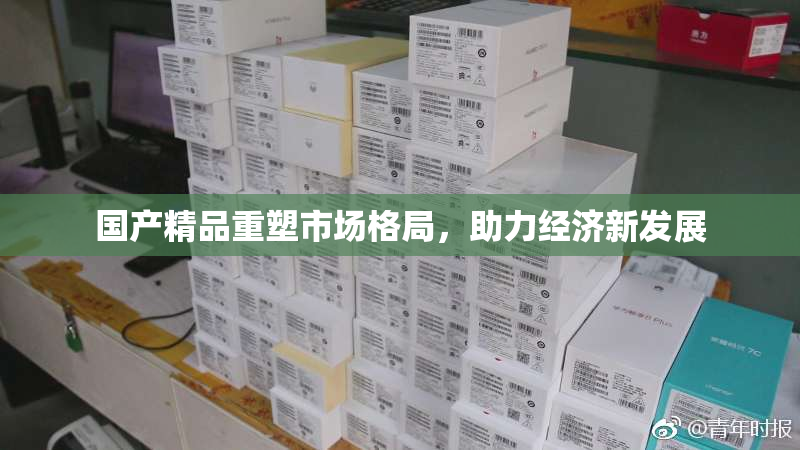 国产精品重塑市场格局，助力经济新发展