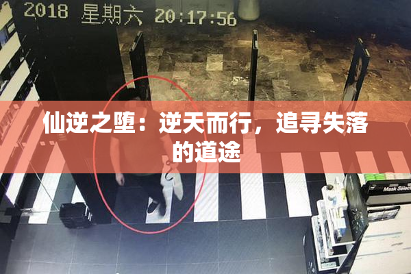 仙逆之堕：逆天而行，追寻失落的道途