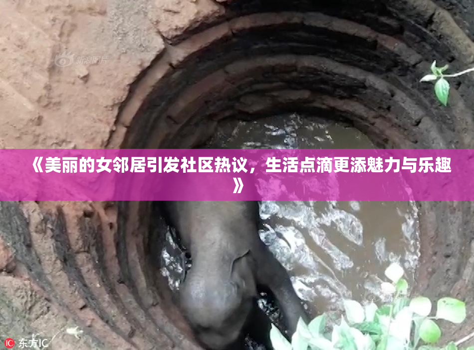 《美丽的女邻居引发社区热议，生活点滴更添魅力与乐趣》
