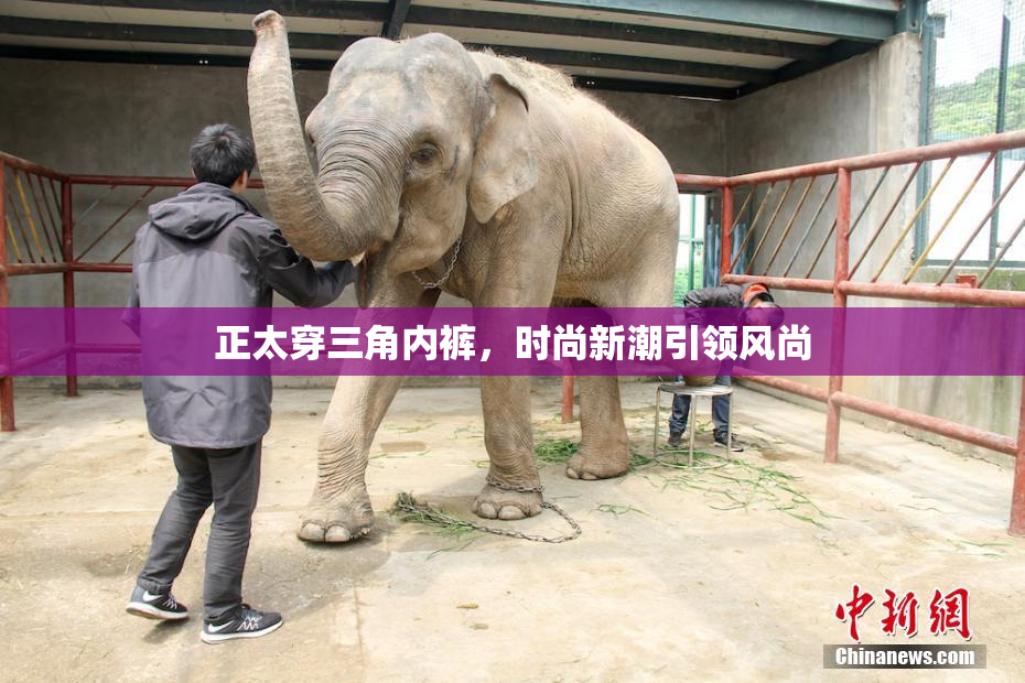 正太穿三角内裤，时尚新潮引领风尚
