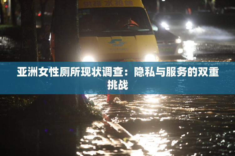 亚洲女性厕所现状调查：隐私与服务的双重挑战