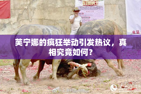 芙宁娜的疯狂举动引发热议，真相究竟如何？