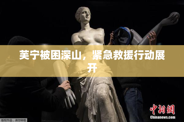 芙宁被困深山，紧急救援行动展开