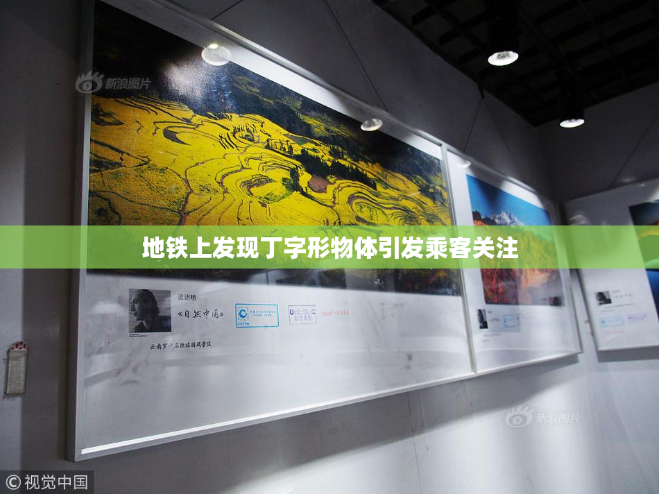 地铁上发现丁字形物体引发乘客关注