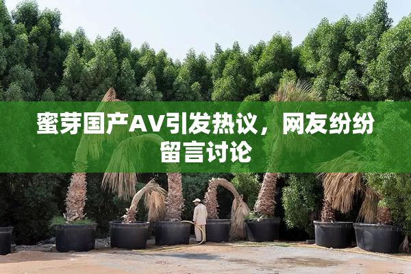 蜜芽国产AV引发热议，网友纷纷留言讨论