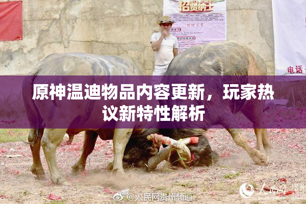 原神温迪物品内容更新，玩家热议新特性解析