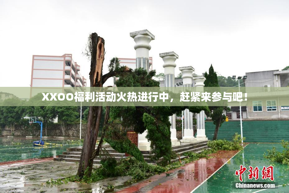 XXOO福利活动火热进行中，赶紧来参与吧！