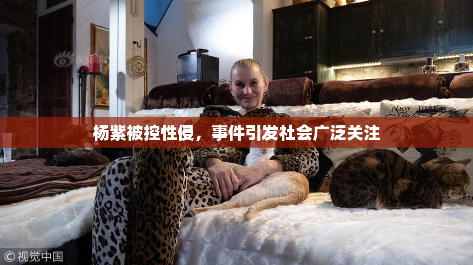 杨紫被控性侵，事件引发社会广泛关注