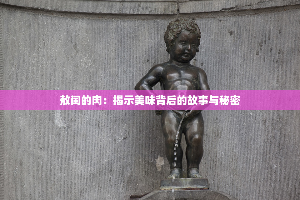 敖闰的肉：揭示美味背后的故事与秘密