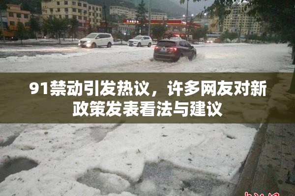 91禁动引发热议，许多网友对新政策发表看法与建议