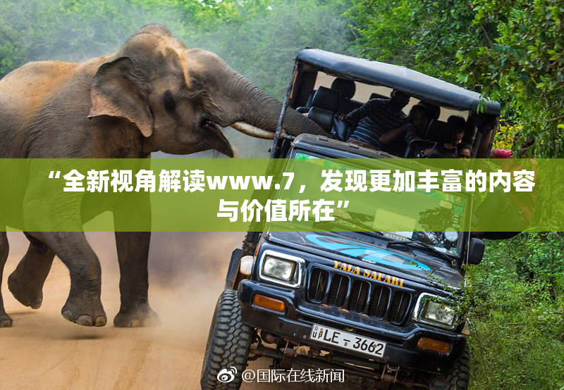“全新视角解读www.7，发现更加丰富的内容与价值所在”