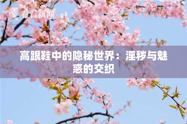 高跟鞋中的隐秘世界：淫秽与魅惑的交织