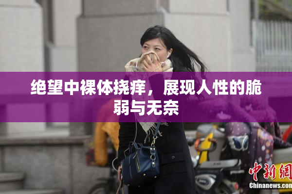绝望中裸体挠痒，展现人性的脆弱与无奈