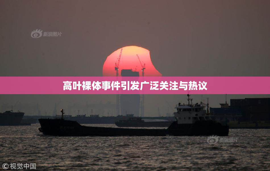 高叶裸体事件引发广泛关注与热议