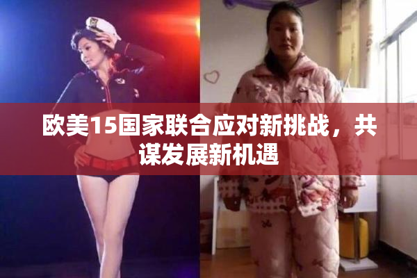 欧美15国家联合应对新挑战，共谋发展新机遇