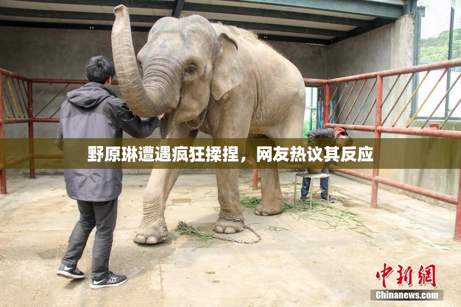 野原琳遭遇疯狂揉捏，网友热议其反应