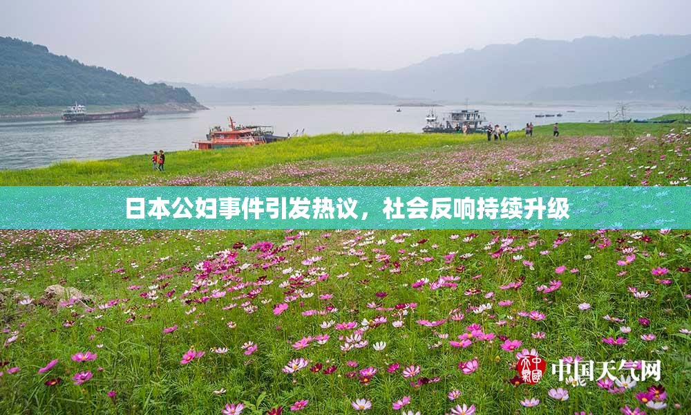 日本公妇事件引发热议，社会反响持续升级