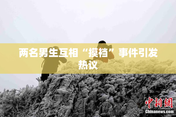 两名男生互相“摸裆”事件引发热议