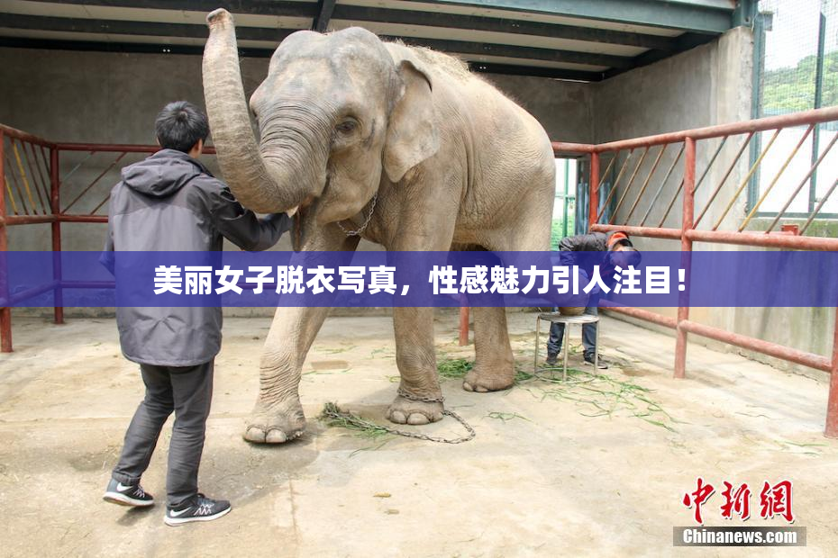 美丽女子脱衣写真，性感魅力引人注目！