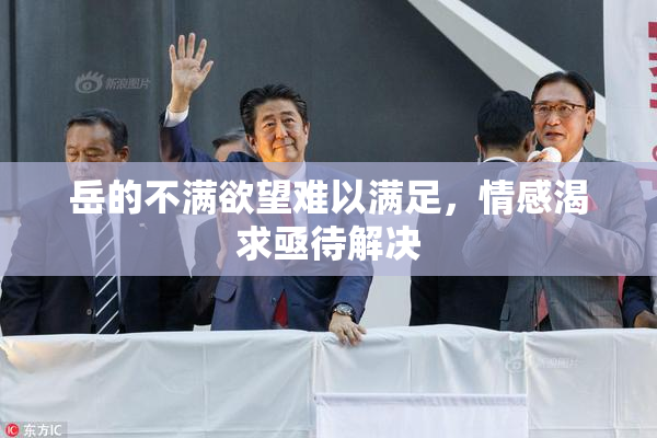 岳的不满欲望难以满足，情感渴求亟待解决