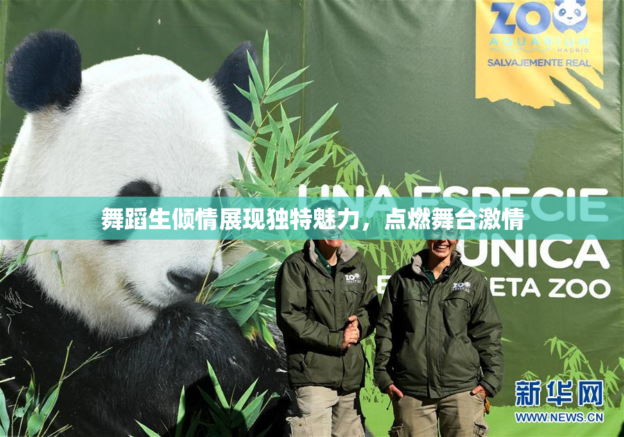 舞蹈生倾情展现独特魅力，点燃舞台激情