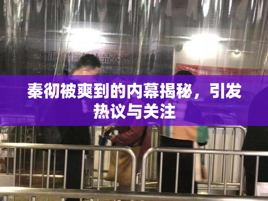 秦彻被爽到的内幕揭秘，引发热议与关注