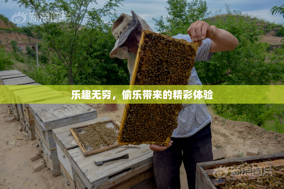 乐趣无穷，偷乐带来的精彩体验
