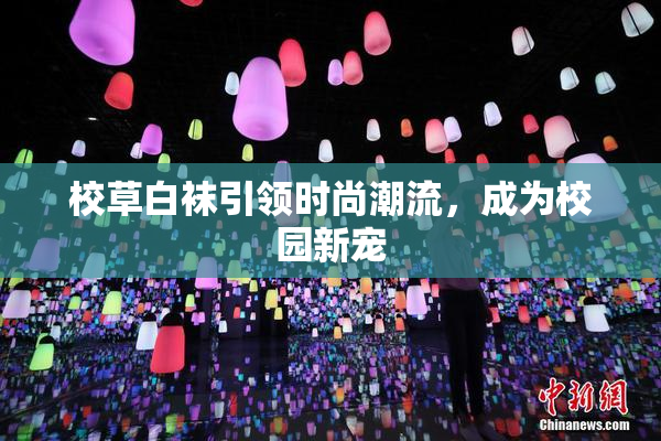 校草白袜引领时尚潮流，成为校园新宠