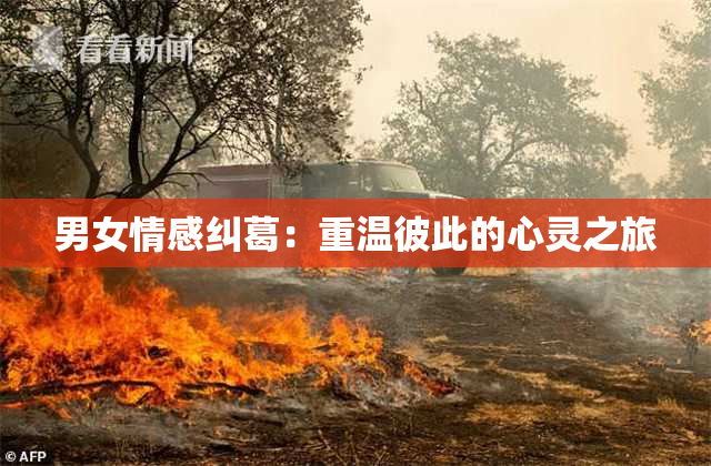 男女情感纠葛：重温彼此的心灵之旅