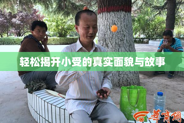 轻松揭开小受的真实面貌与故事