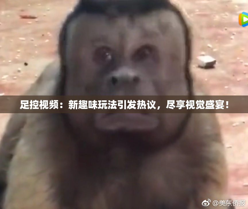 足控视频：新趣味玩法引发热议，尽享视觉盛宴！