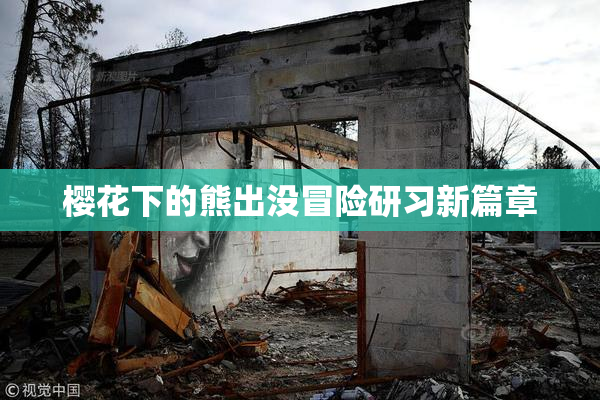 樱花下的熊出没冒险研习新篇章