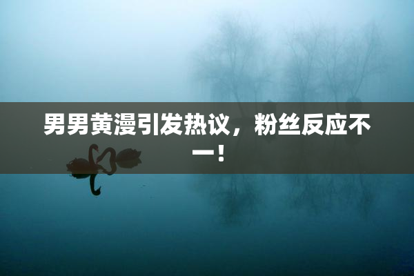 男男黄漫引发热议，粉丝反应不一！