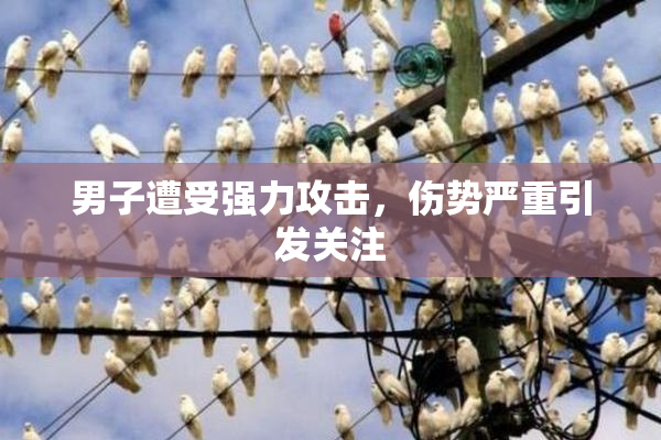 男子遭受强力攻击，伤势严重引发关注