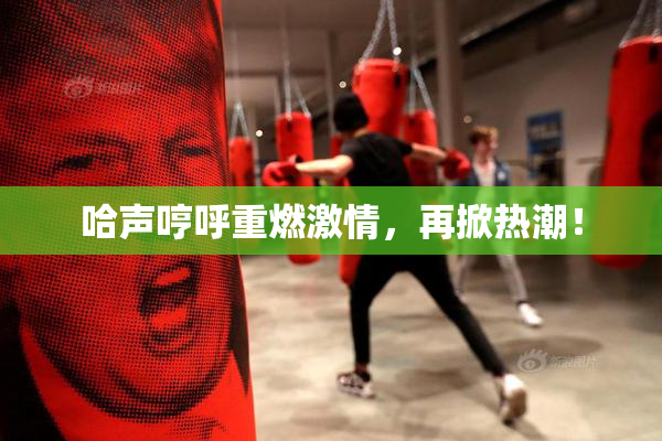 哈声哼呼重燃激情，再掀热潮！