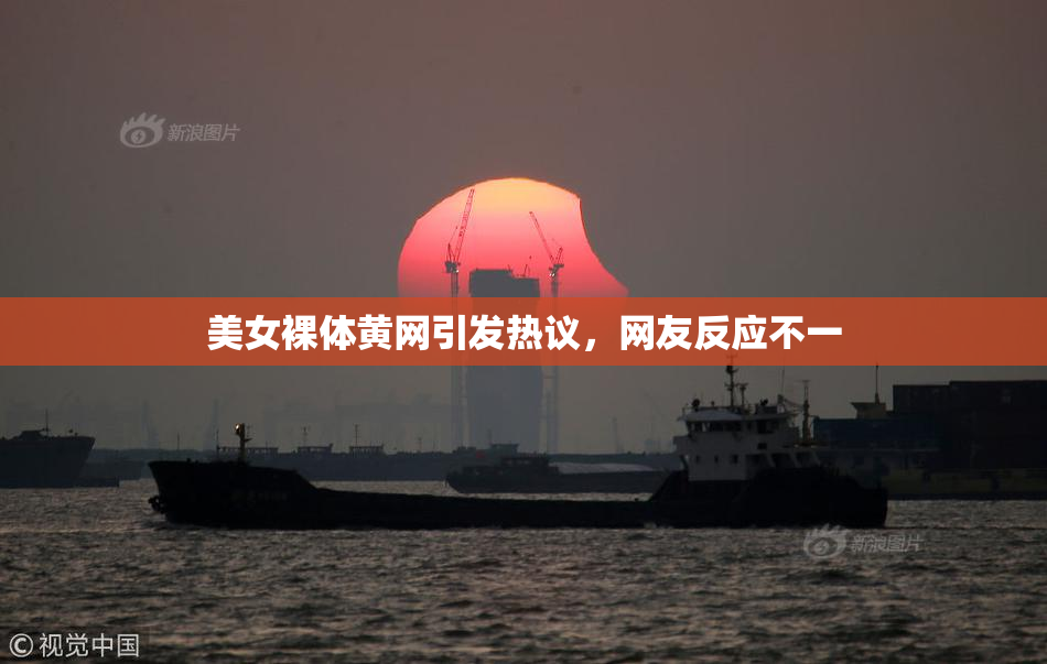 美女裸体黄网引发热议，网友反应不一