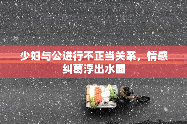 少妇与公进行不正当关系，情感纠葛浮出水面